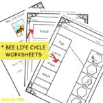 Bee Life Cycle Craft - Butterflo Kids