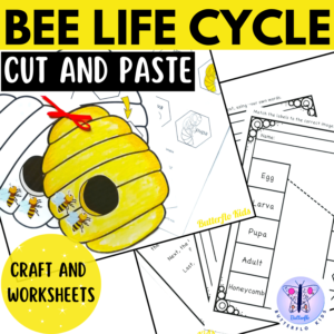 Bee Life Cycle Craft - Butterflo Kids