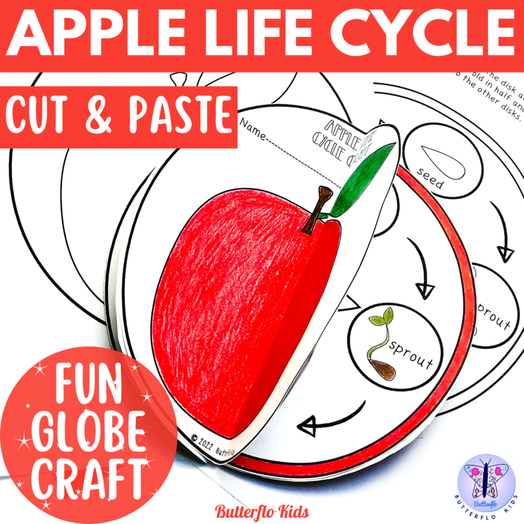 apple life cycle activity cut and paste