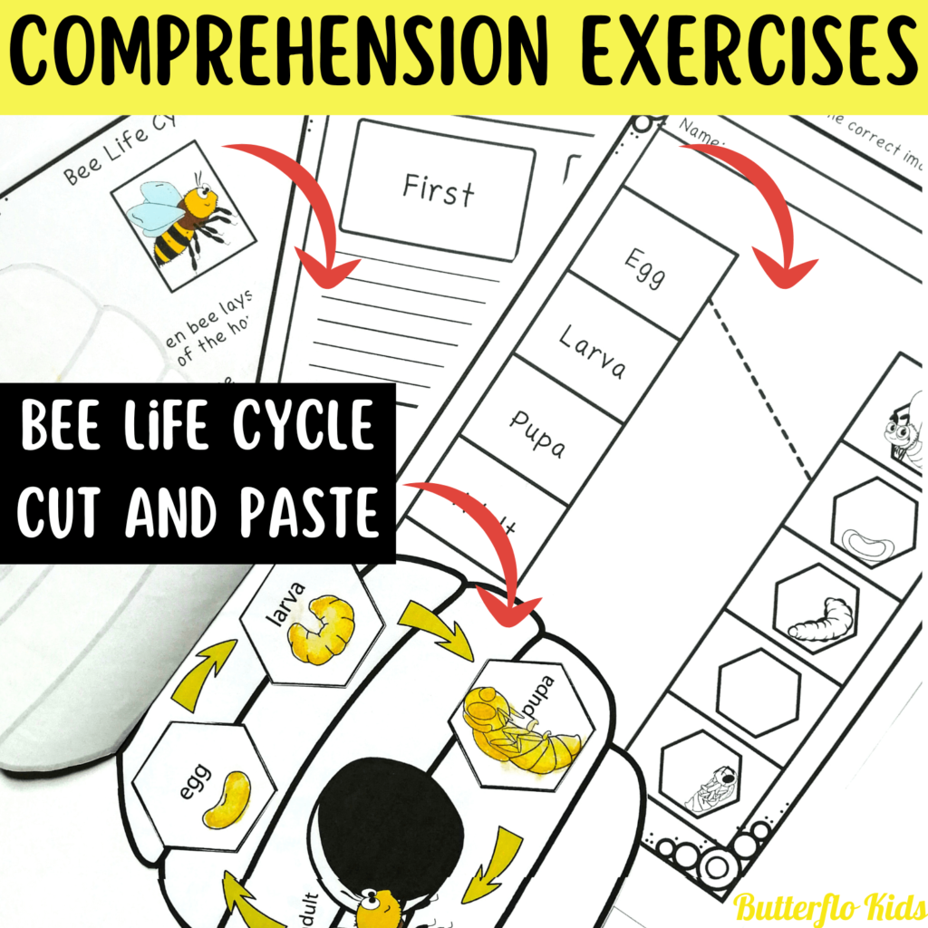 bee life cycle comprehension worksheets