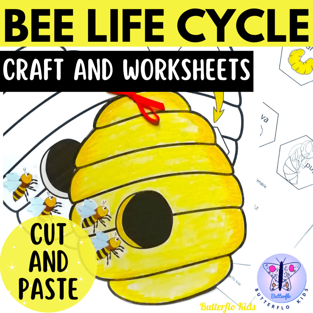 bee life cycle cut and paste craft